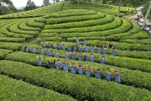 wisata ciwidey